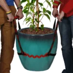 Green-pot