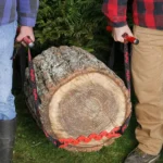 Log
