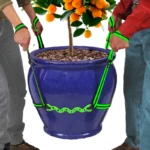 Qwiklift_Flowerpot